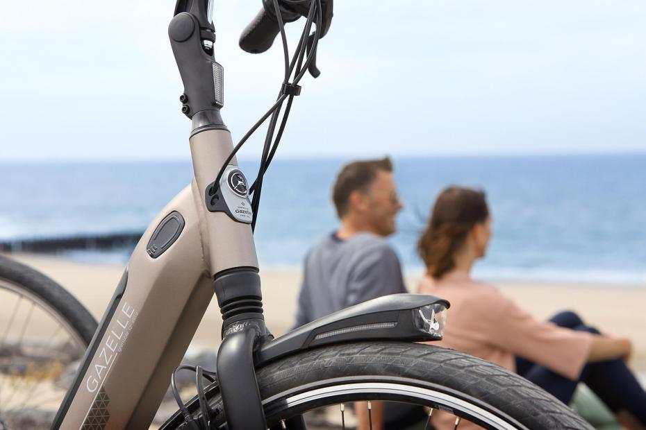 Elektrische fietsen